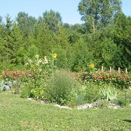 Bed & Breakfast Au Pre Du Moulin