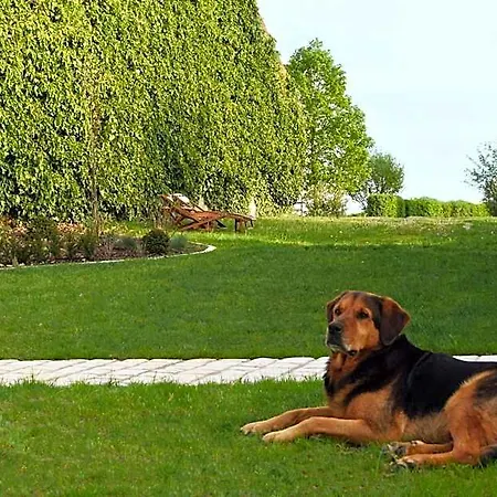 Bed & Breakfast Au Pre Du Moulin 3*